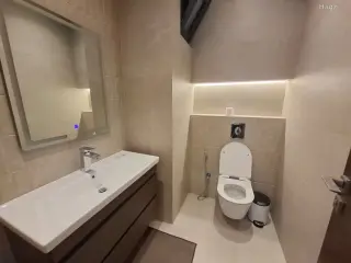 الصورة 10 من 12