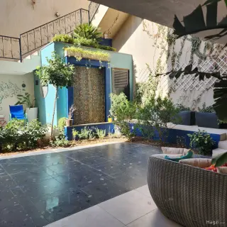 الصورة 6 من 12