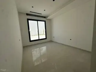 الصورة 11 من 12