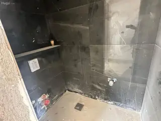 الصورة 4 من 12