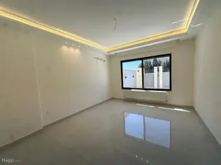 الصورة 7 من 12