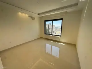 الصورة 10 من 12