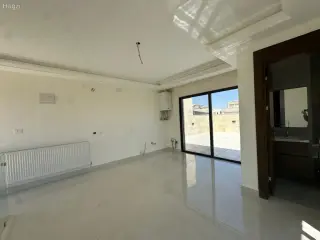 الصورة 12 من 12