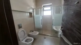 الصورة 7 من 12