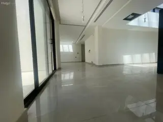 الصورة 11 من 12