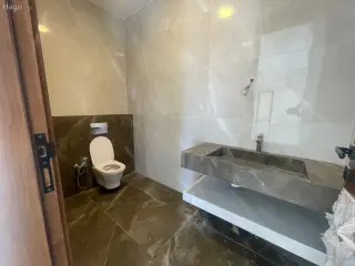 الصورة 4 من 12