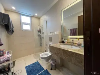 الصورة 6 من 12