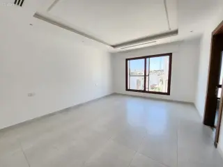 الصورة 8 من 12