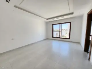الصورة 8 من 12