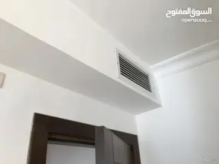 الصورة 2 من 12