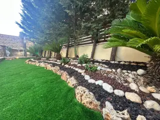 Photograph 2 of 12