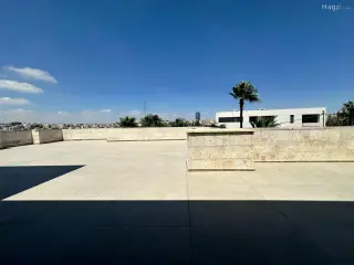 الصورة 12 من 12