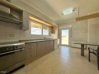 الصورة 5 من 12
