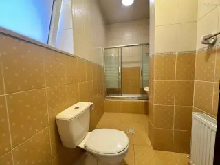 الصورة 6 من 12