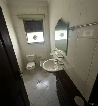 الصورة 3 من 12