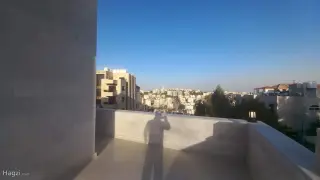 الصورة 2 من 12