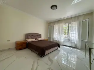 الصورة 1 من 12