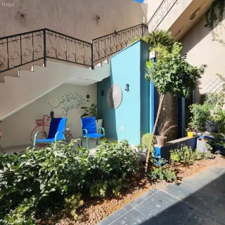 الصورة 8 من 12