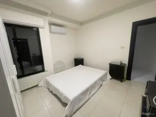 الصورة 12 من 12