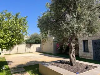الصورة 1 من 11