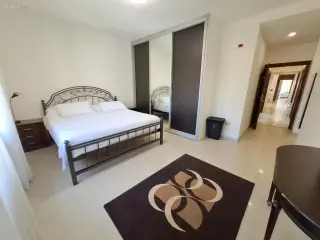 الصورة 2 من 12