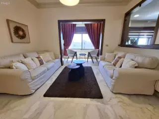 الصورة 10 من 12