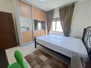 الصورة 4 من 12