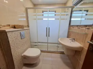الصورة 1 من 12