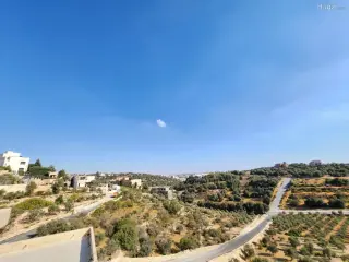 الصورة 9 من 12