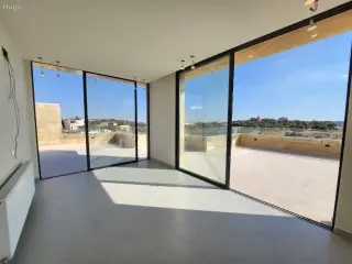 الصورة 12 من 12