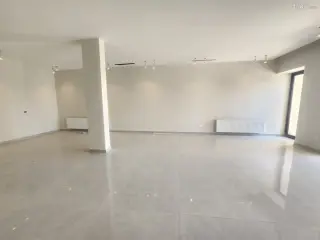 الصورة 5 من 12