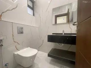 الصورة 4 من 12