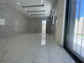 الصورة 7 من 12
