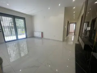 الصورة 5 من 12