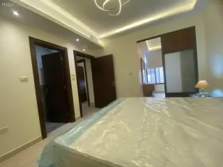 الصورة 12 من 12