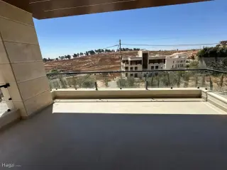 الصورة 7 من 12
