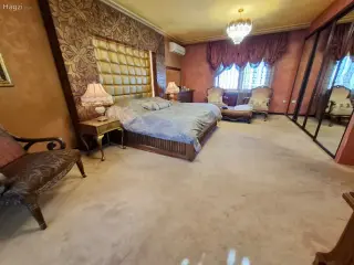 الصورة 3 من 12