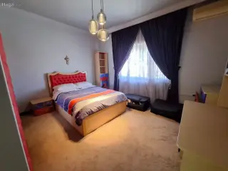 الصورة 7 من 12