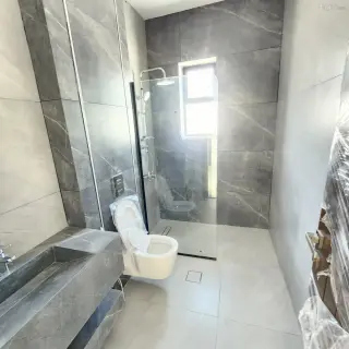 الصورة 11 من 12
