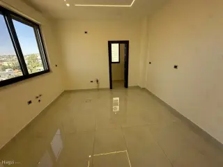 الصورة 4 من 12
