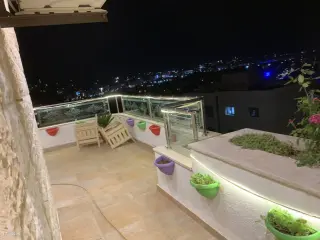 الصورة 12 من 12
