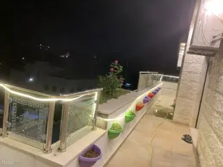 الصورة 11 من 12