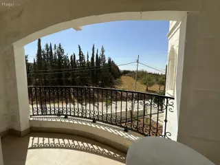 الصورة 8 من 12