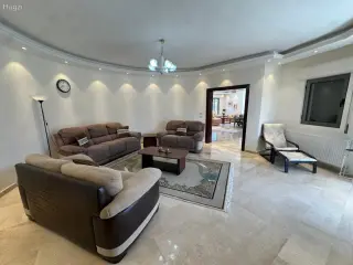 الصورة 11 من 12