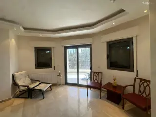 الصورة 12 من 12