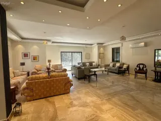 الصورة 1 من 12