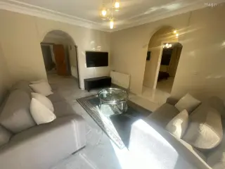 الصورة 12 من 12