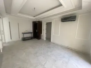 الصورة 6 من 12