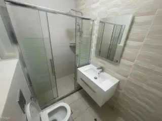 الصورة 11 من 12