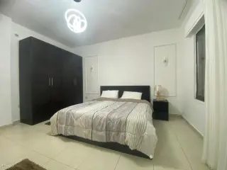 الصورة 11 من 12